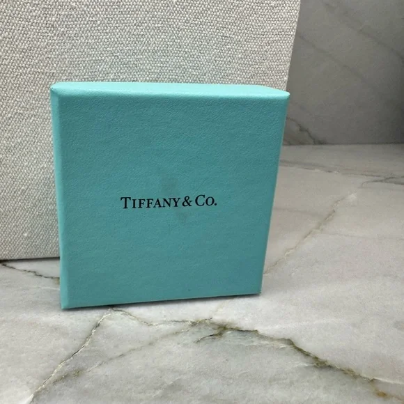 Tiffany & Co. Go Women 2018 Necklace Silver 925 40cm